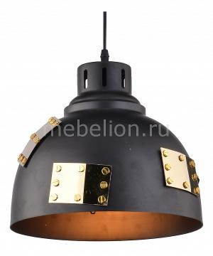 Подвесной светильник Eurica A6024SP-1BK Arte Lamp